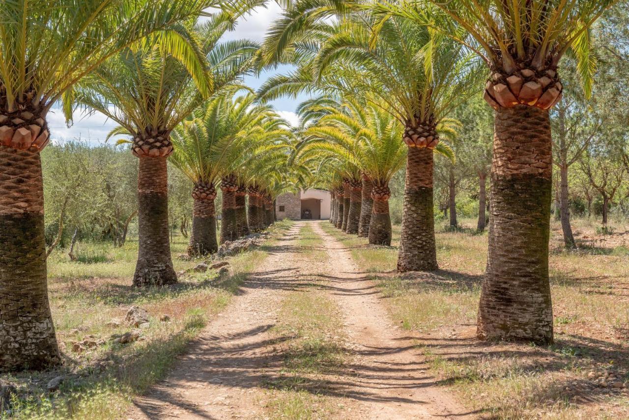 Villa S'Erisal Alaro Exterior photo